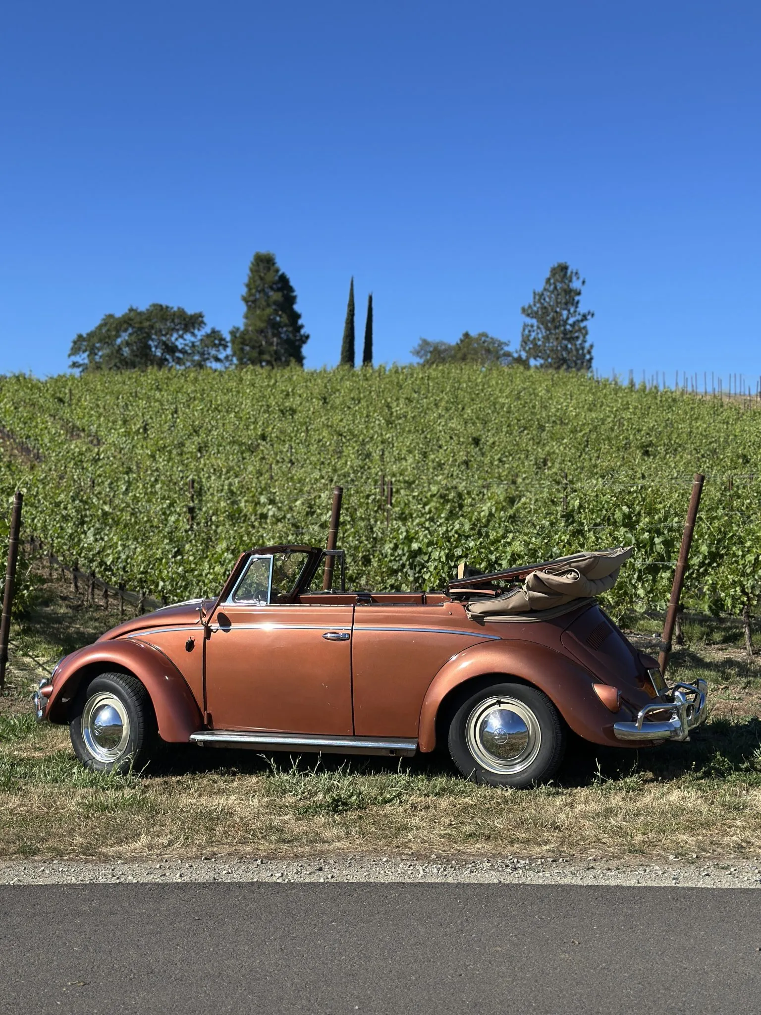 Karmann Cabriolet